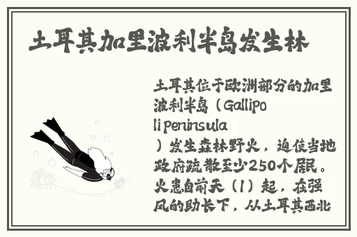 国产微拍无码精品一区
